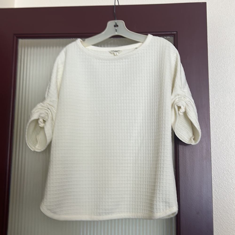 Boatneck, cream colored Max Studio London top.